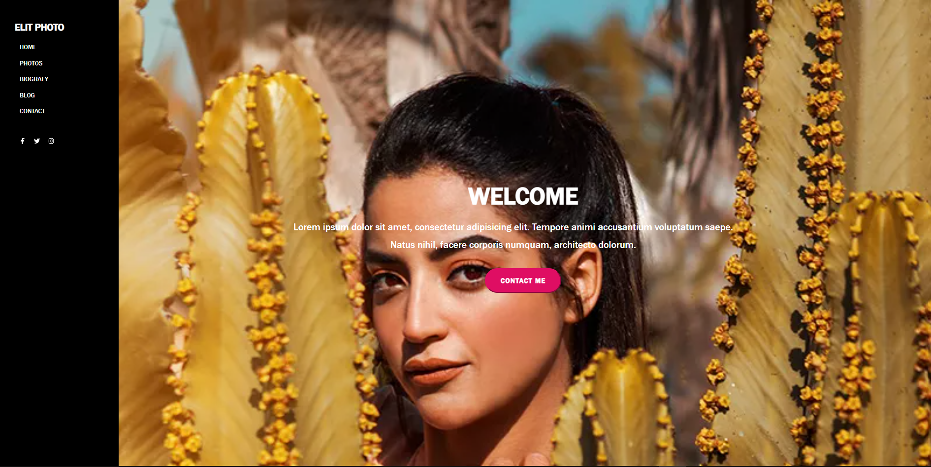 Project Example